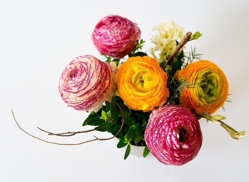 Stardust Arrangements